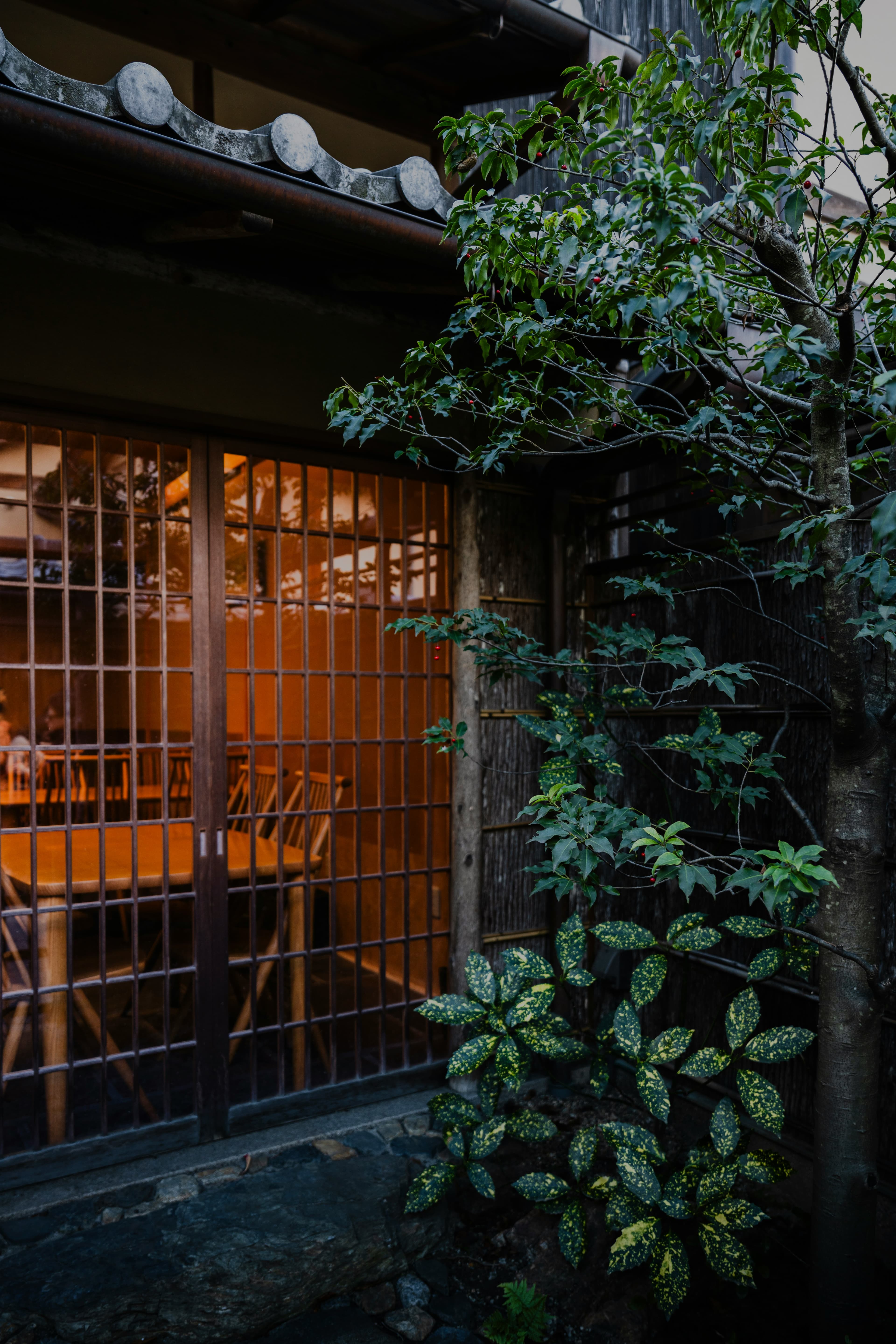 Warm light spilling from a Japanese restaurant window at dusk (illustrative image)